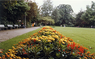 Colonia anno 1999