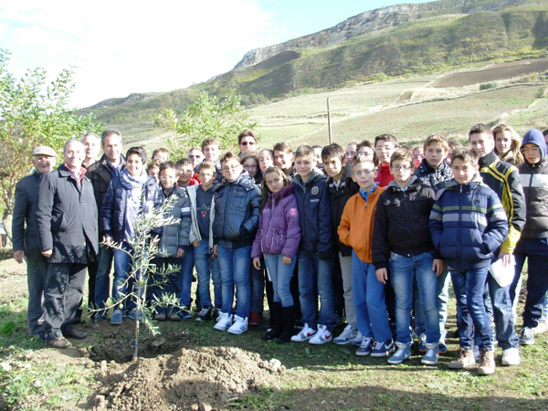 L'albero piantato in ricordo del Beato Giuseppe Puglisi